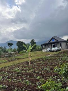Hilm cottage - 3