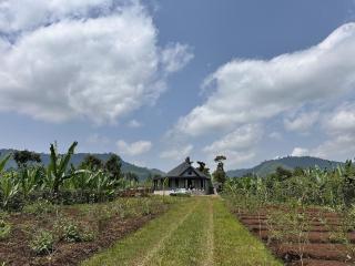 Hilm cottage - 2