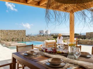Vendema Residence Mykonos - 4