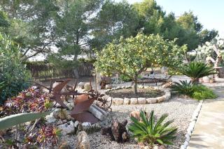 Finca Hort De Sa Barrala - Ses Covetes - 1
