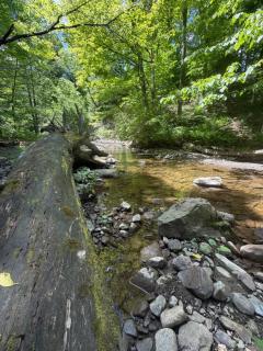 Le Dôme, nature, ressourcement et sauna - 5