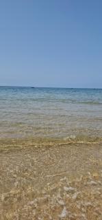 Tiguert serenity - 8
