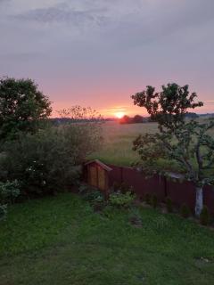 Przytulisko - 1