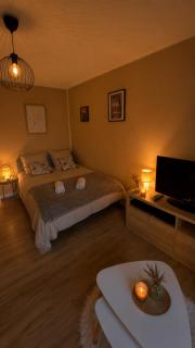 Studio cosy avec parking, proche Zoo de Beauval & Chenonceau - 5