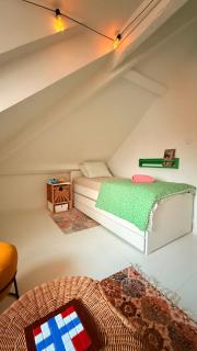 Asanzo Historic Attic-Traditional Norwegian Home & Warm Indian Hospitality - 6