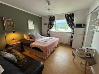 Akureyri Center Apartments & Rooms - 1