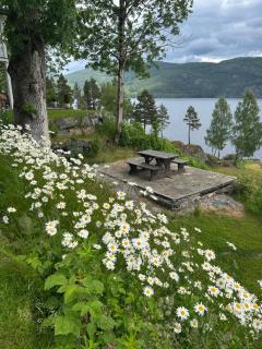 Liten hytte i Tinn - 6
