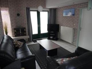 Holiday Home in Schoneveld with Garden - 9