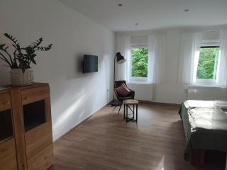 Appartement am Stadtpark - 6