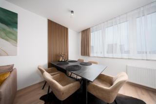Apartmán u Dolních Vítkovic - 6