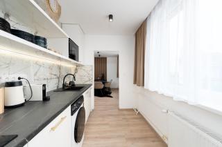 Apartmán u Dolních Vítkovic - 2