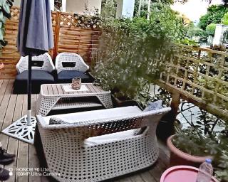 Olgas Cozy Nest Corfu retreat garden near Dassia - 8