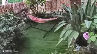 Olgas Cozy Nest Corfu retreat garden near Dassia - 9