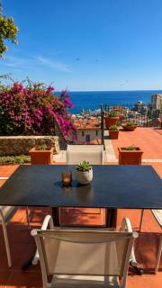 Grande terrasse avec belle vue sur Monaco - 5