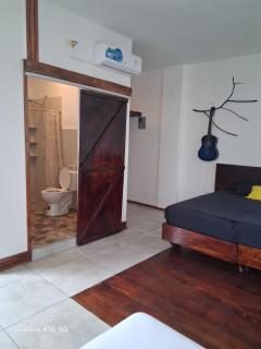 Gaviota - 5
