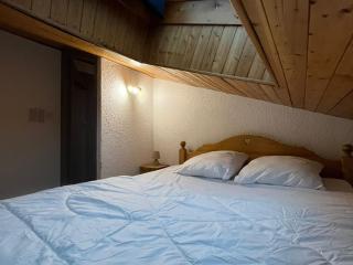 Appartement confortable - 4 pers. - FR-1-676-259 - 2