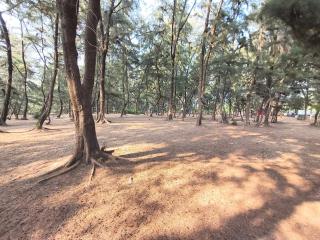 Brundavana Home Stay - 1