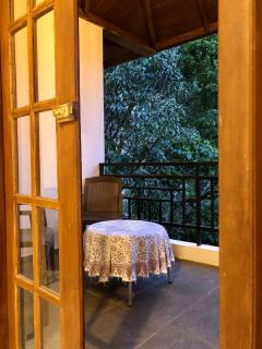 Hotel mango tree nearest Adam's peak - 7