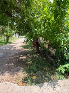 Nilamukil Homestay - 1