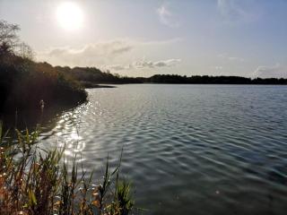 4 star holiday home in Ansager - 2