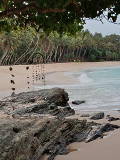 Kaya House - 8