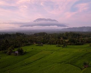 The Agung's Nest Bamboo House - Kosay Bali - 1