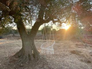 Villa Terra Luce - 1