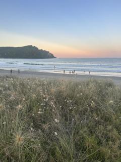 Beach life - 1