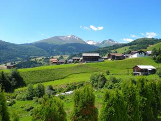 Apartment in Disentis with Garden, BBQ & Views - Disentis - 9