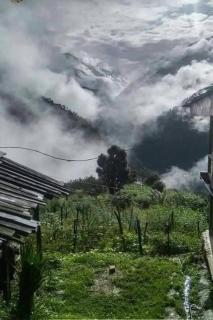 Offline musafir homestay - 9