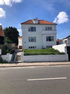 Stor lys lejlighed med terrasse og altan - 0