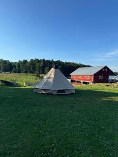 Jennys tent - 4