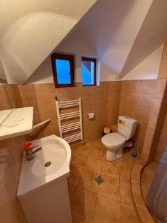 Gold Fayen House Cheile Turului - 7