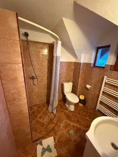 Gold Fayen House Cheile Turului - 3