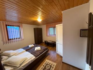 Gold Fayen House Cheile Turului - 2