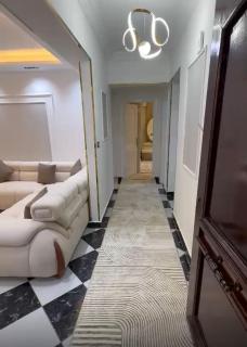 شقه فندقيه بالمهندسين - 6