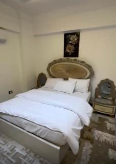 شقه فندقيه بالمهندسين - 5