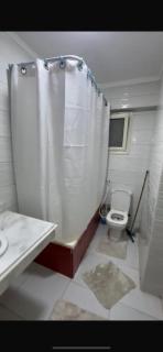 شقه فندقيه بالمهندسين - 2