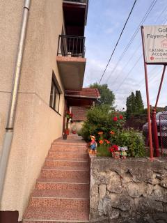 Gold Fayen House Cheile Turului - 8
