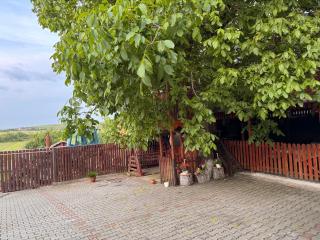 Gold Fayen House Cheile Turului - 5