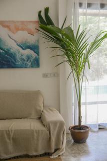Tocay Villa - 1