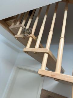 Einfamilien Haus - 3