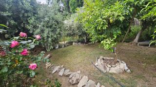 Olive Garden Estate - 1