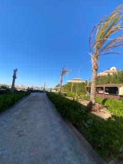 Fiesta Resort Al ahyaa - 7