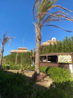 Fiesta Resort Al ahyaa - 9