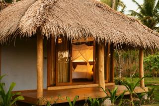 Akar Mentawai - 7