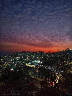 Hotel Almora Palace - 8