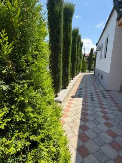 Villa Cypress - 4