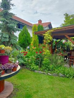 Dream Apartment - Subotica - 1