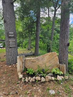 Mazinaw Lakeside RV Park & Campground - 1